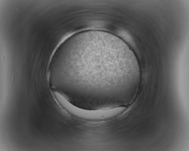 X0000085281284200703301908
