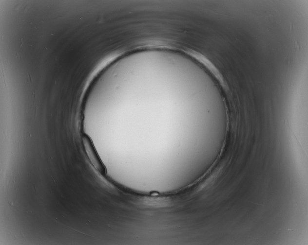 X0000085281285200703301908