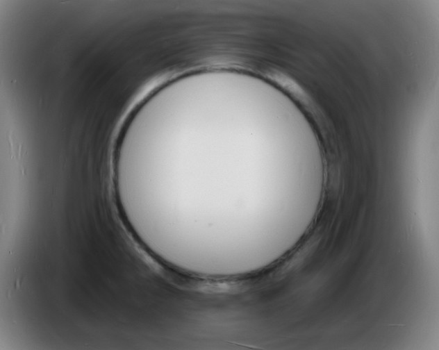 X0000085281286200703301908