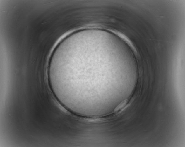 X0000085281288200703301908