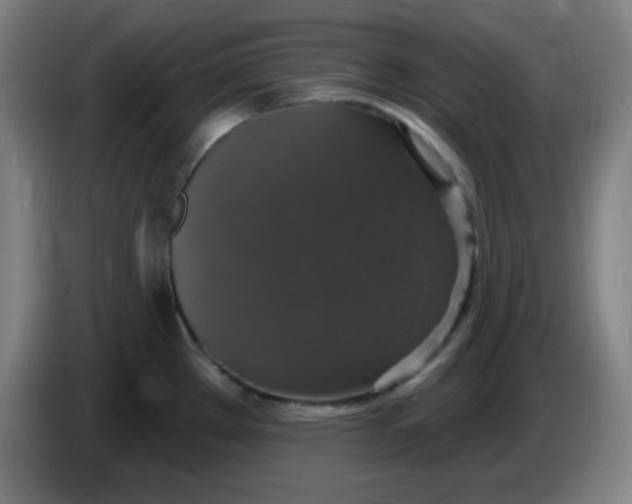 X0000085281289200703301908