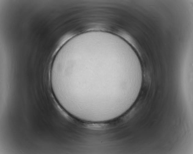 X0000085281290200703301908