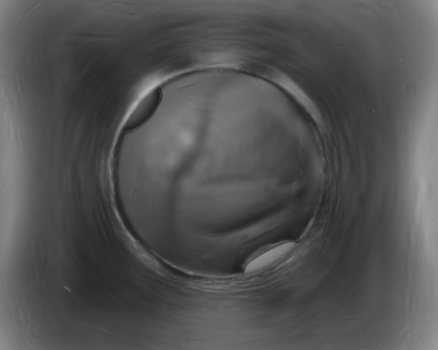 X0000085281291200703301908