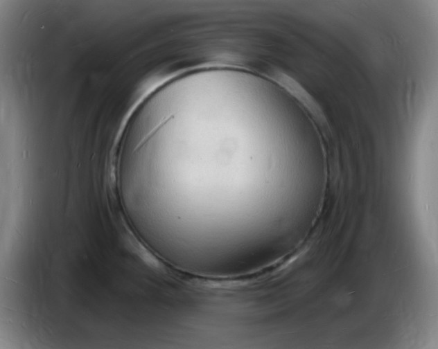 X0000085281292200703301908