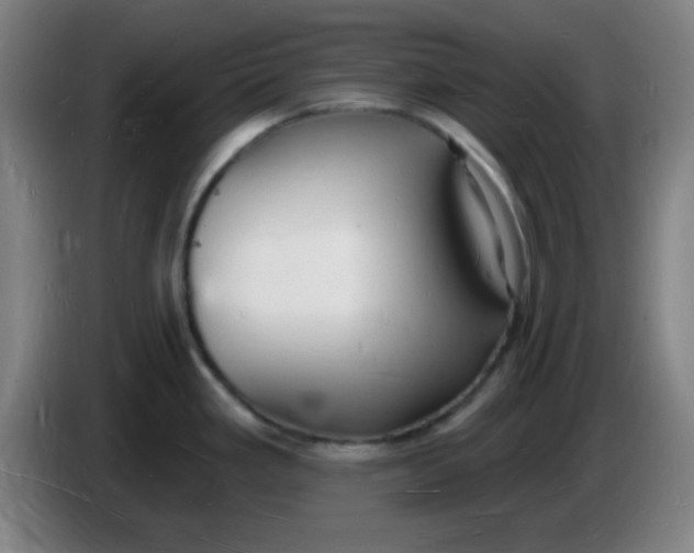 X0000085281293200703301908