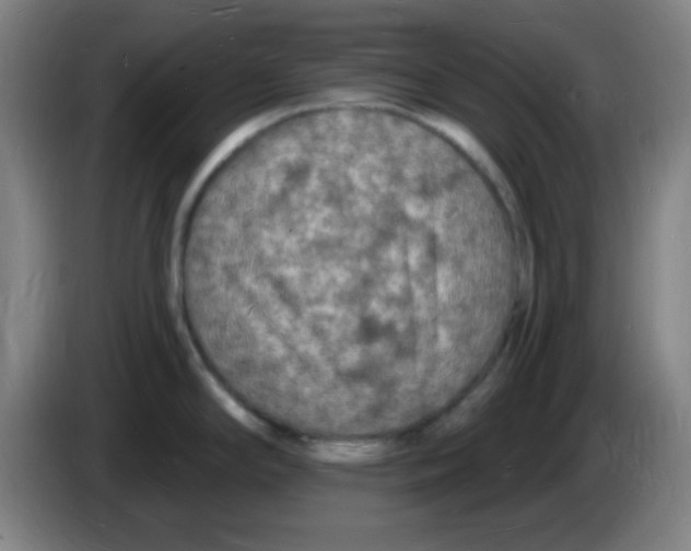 X0000085281294200703301908