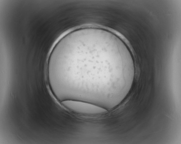 X0000085281295200703301908