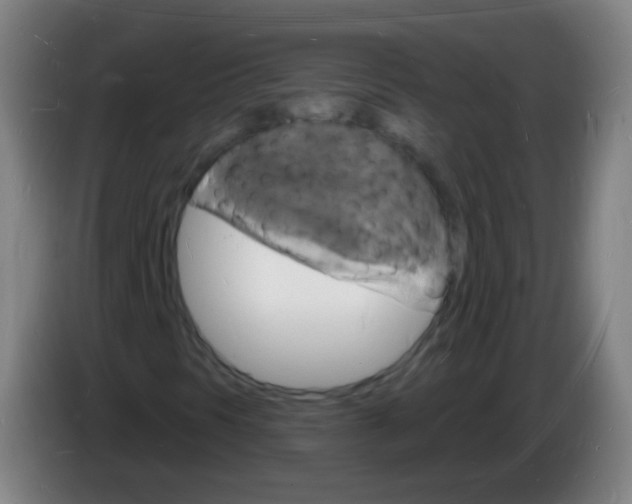 X0000085281297200703301907