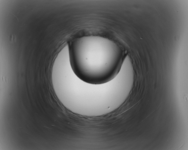 X0000085281298200703301907