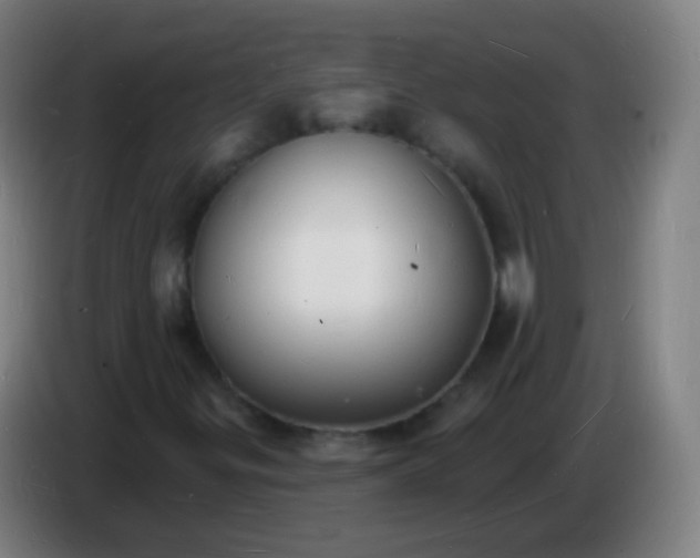X0000085281299200703301907