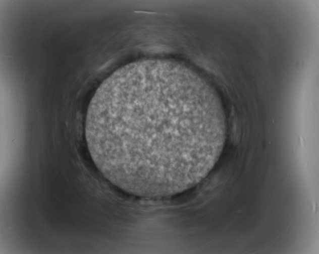 X0000085281301200703301907