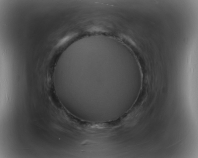 X0000085281303200703301907