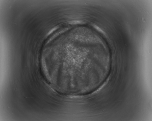 X0000085281305200703301907