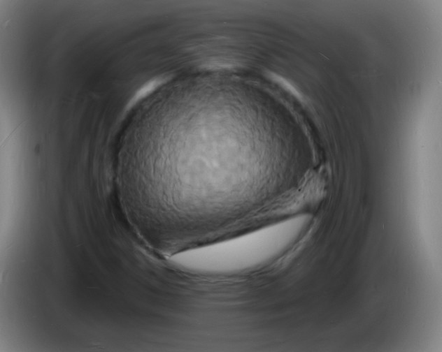 X0000085281306200703301907