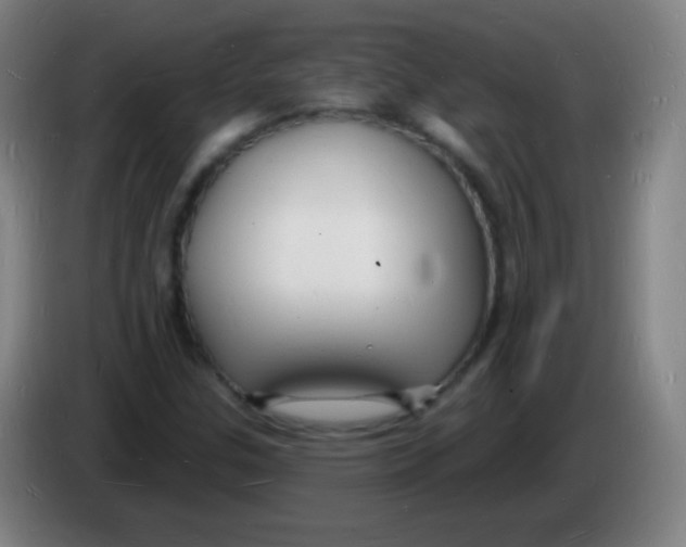 X0000085281307200703301907