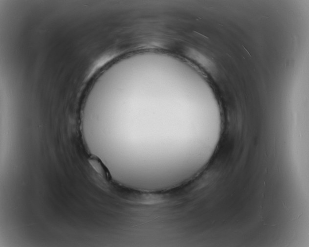 X0000085281308200703301907