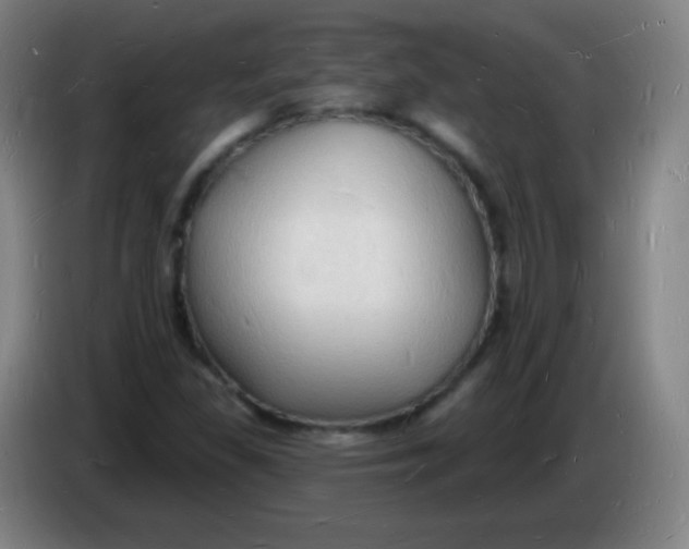 X0000085281309200703301907