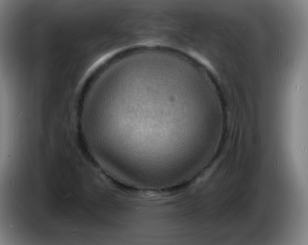 X0000085281311200703301907
