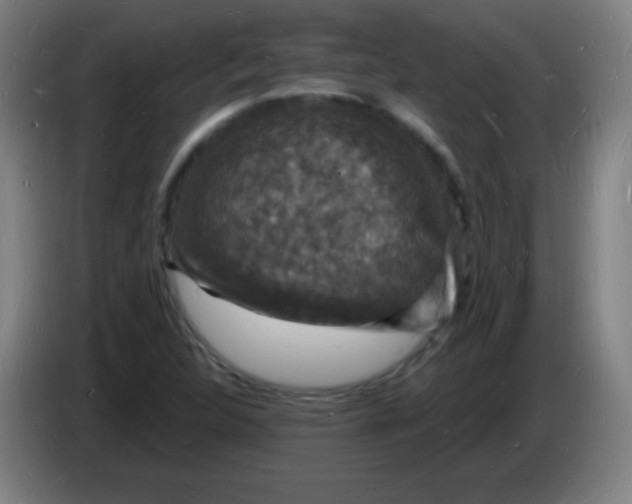 X0000085281312200703301907