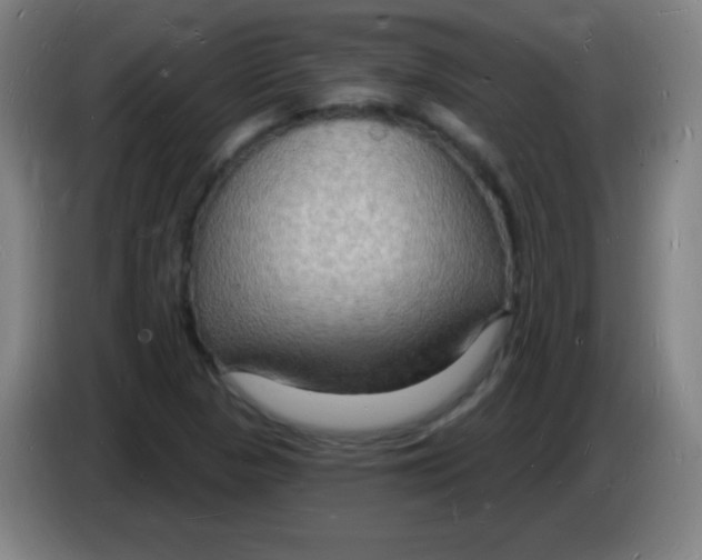 X0000085281313200703301907