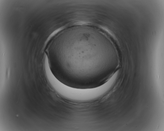 X0000085281314200703301907