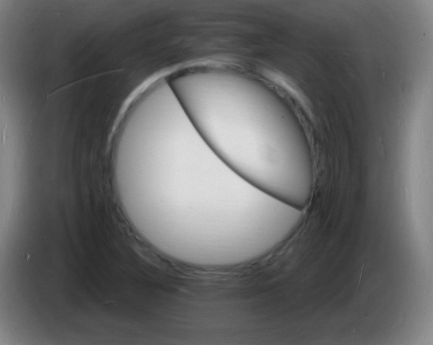 X0000085281316200703301907