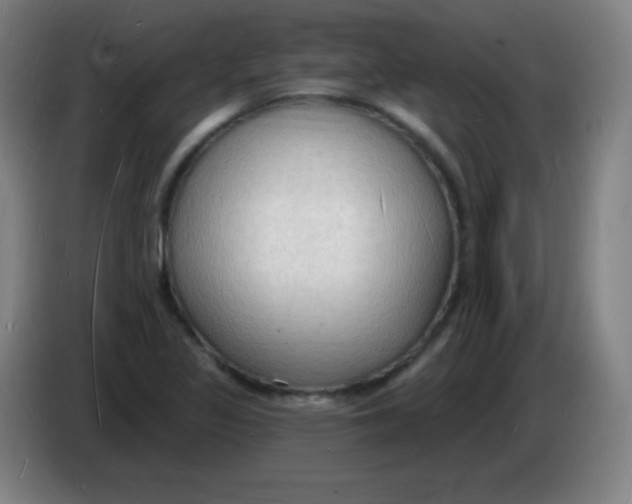 X0000085281317200703301907