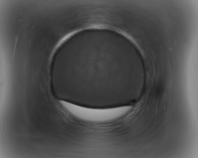 X0000085281319200703301907