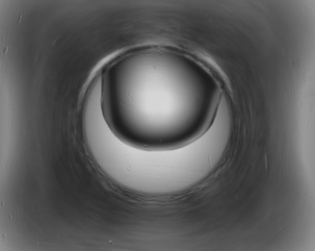 X0000085281320200703301907