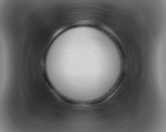 X0000085281321200703301907