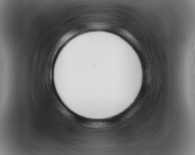 X0000085281322200703301907