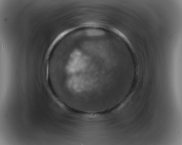 X0000085281323200703301907