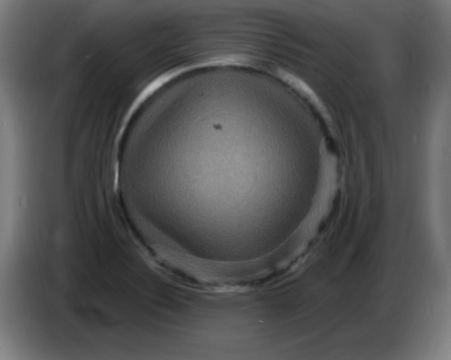 X0000085281324200703301907