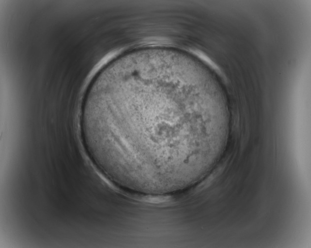 X0000085281325200703301907