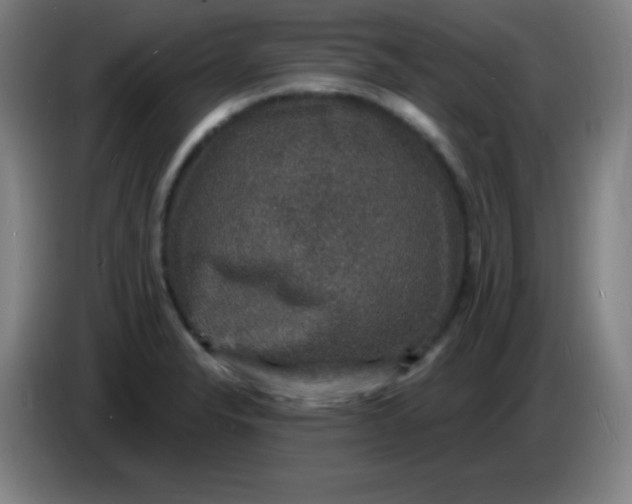 X0000085281326200703301907