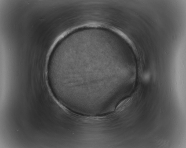 X0000085281327200703301907