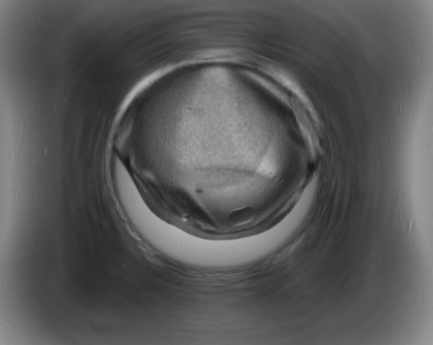 X0000085281328200703301907