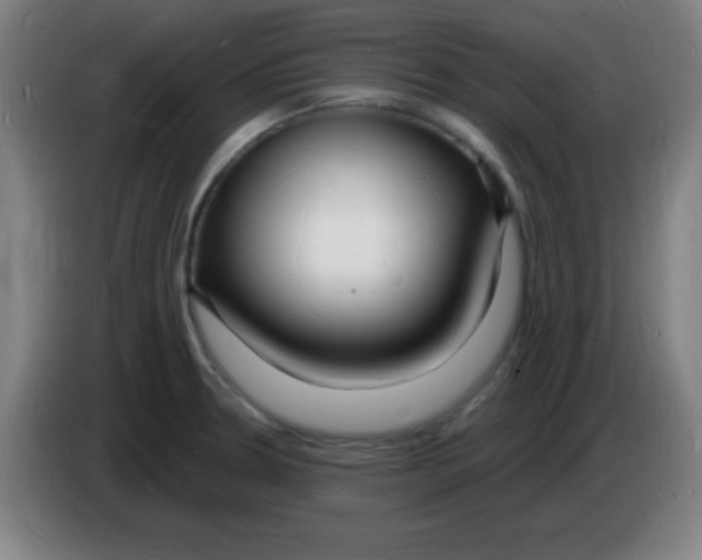 X0000085281330200703301907