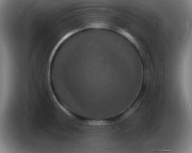 X0000085281331200703301907
