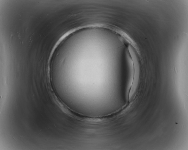 X0000085281332200703301907