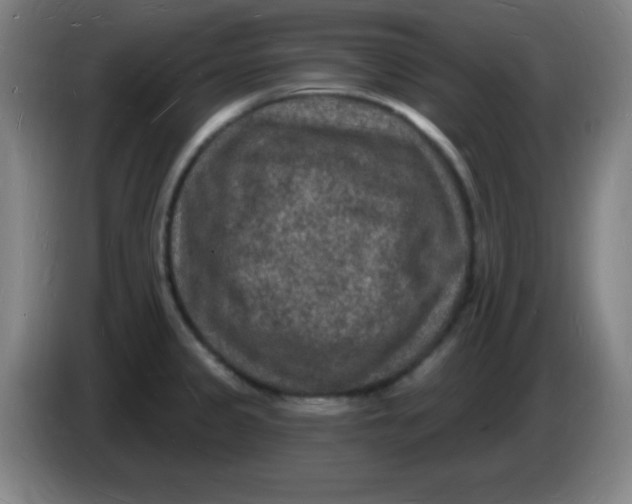 X0000085281333200703301907