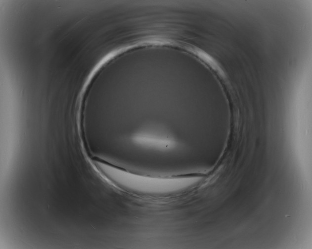 X0000085281334200703301907