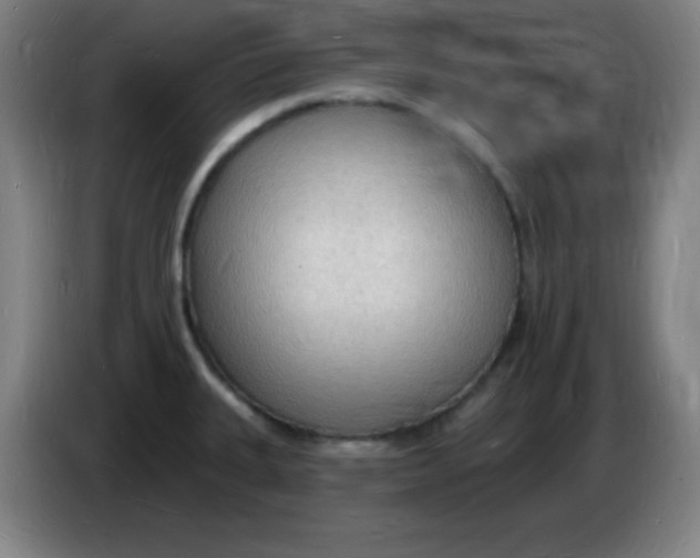 X0000085281335200703301907