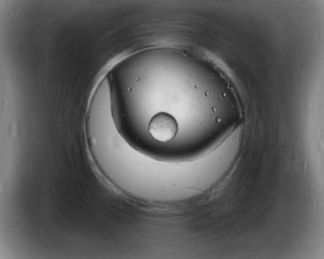 X0000085281338200703301907