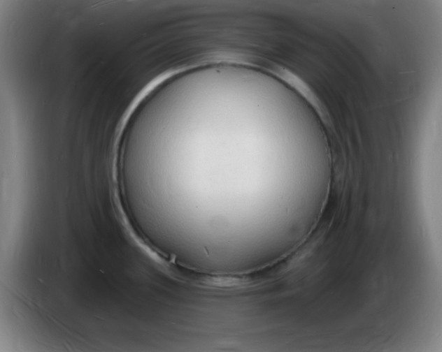 X0000085281339200703301907