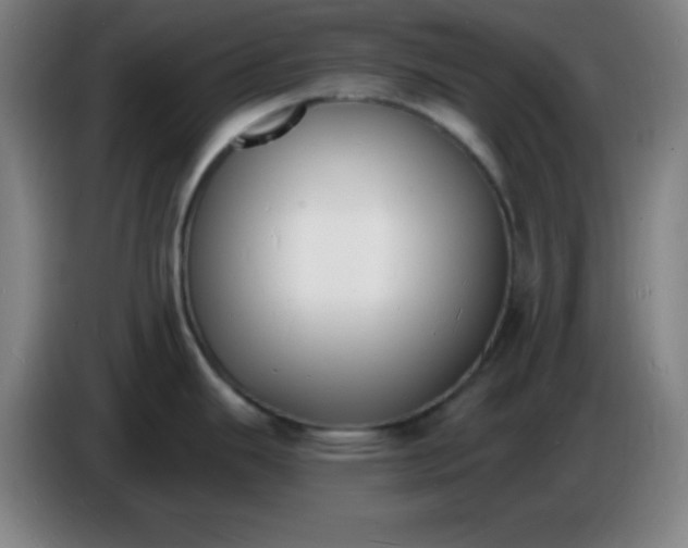 X0000085281343200703301908