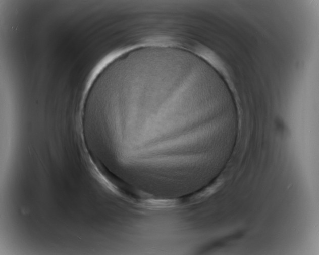 X0000085281344200703301908