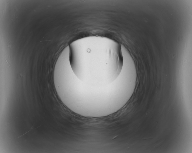 X0000085281345200703301907