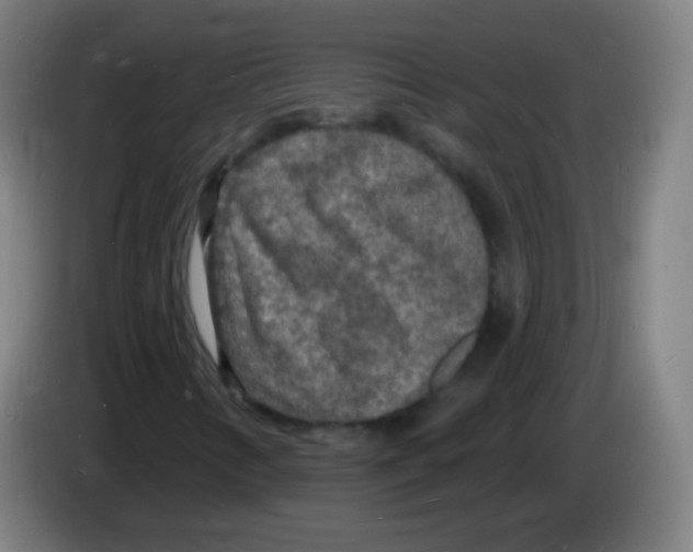 X0000085281346200703301907