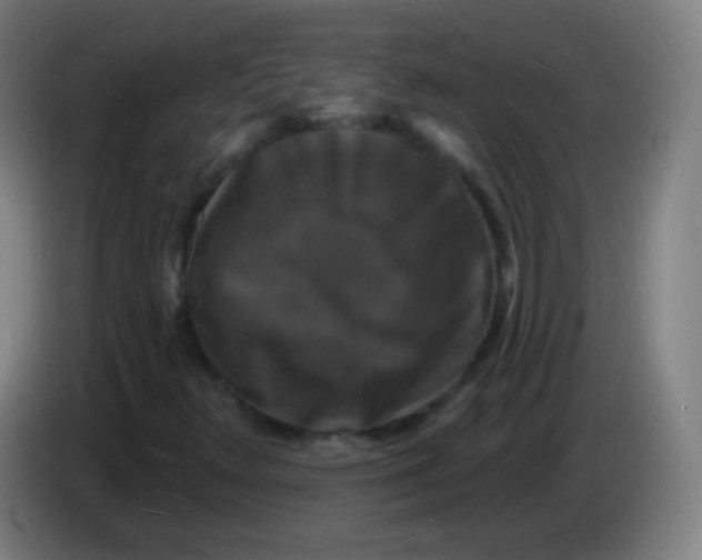 X0000085281348200703301907